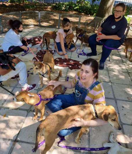 Rescuing a small dog