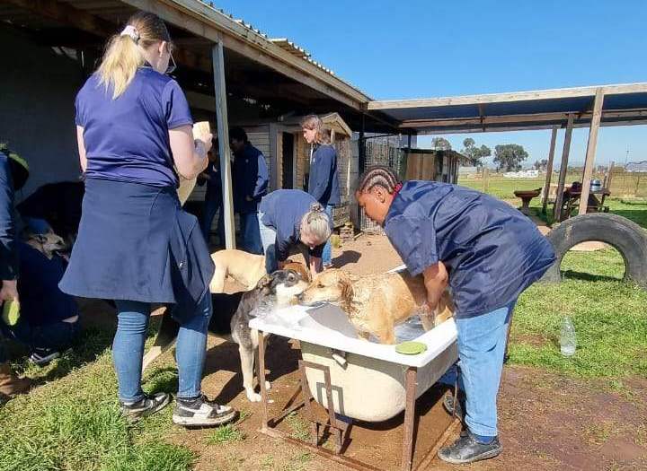 Providing food to local communities
